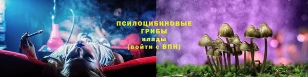 гидропоника Аркадак