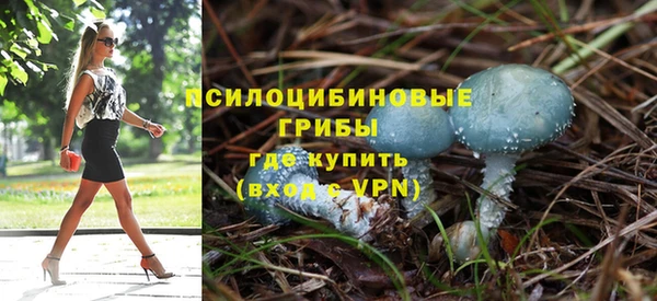 гидропоника Аркадак