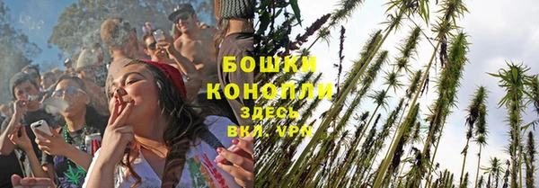 PSILOCYBIN Арсеньев