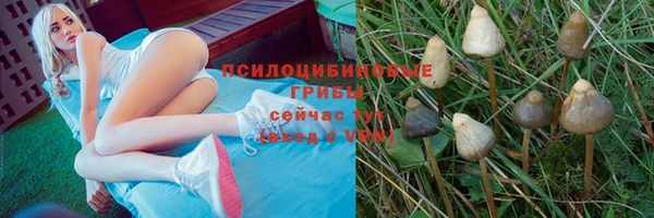 гидропоника Аркадак