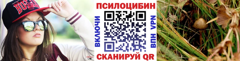 Псилоцибиновые грибы GOLDEN TEACHER  Курлово 